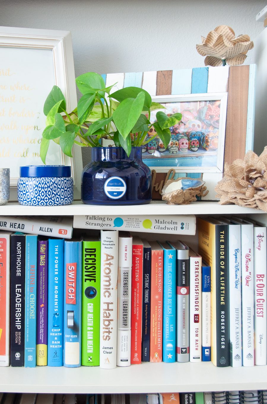A bright bookshelf filled with books, a plant, and framed art